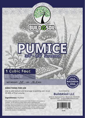 Pumice - 1CF