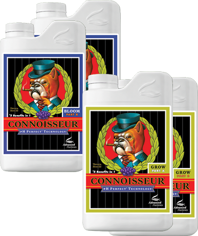 Coco Connoisseur - Grow A
