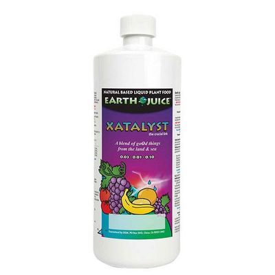 Xatalyst