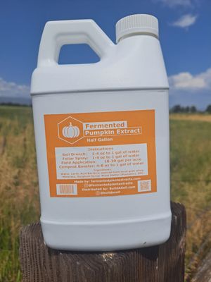 Fermented Pumpkin Extract