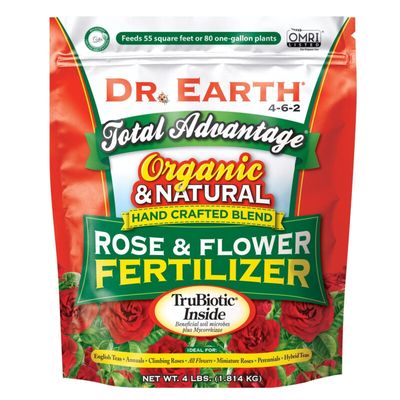 Rose and Flower 4lb