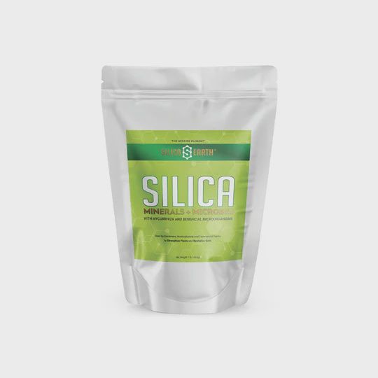 Silica Earth