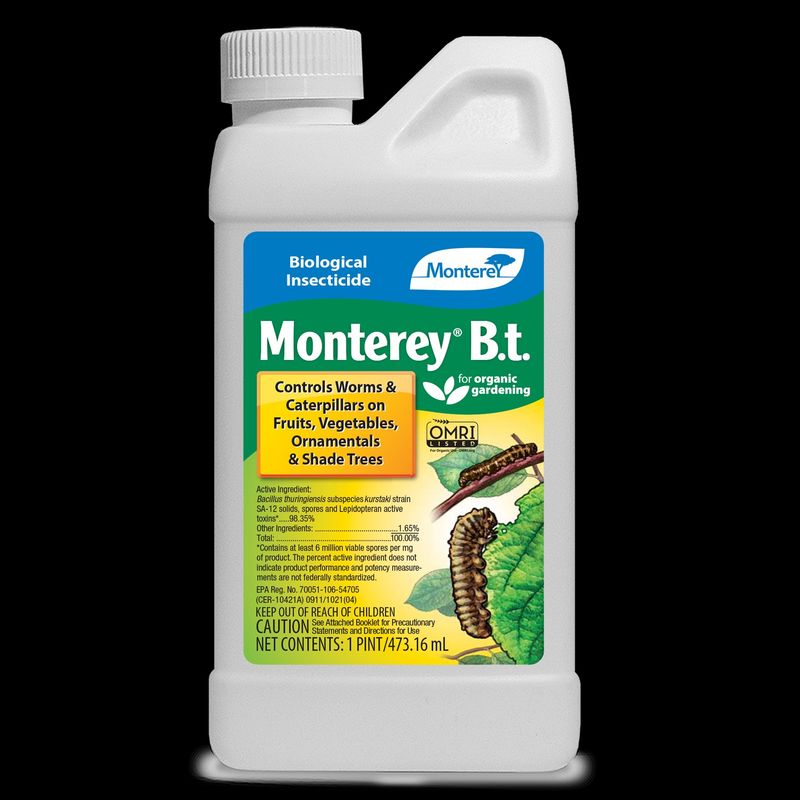 Monterey B.t.
