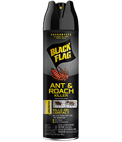 Ant and Roach Killer