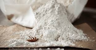 Diatomaceous Earth - 3lb