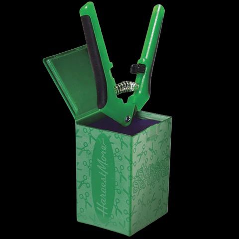 Scissor Scrubber