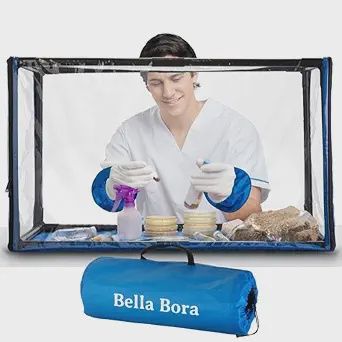 Bella Bora - Still Air Box