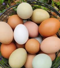 Eggs - Dozen