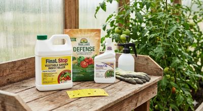 Pest &amp; Disease Control