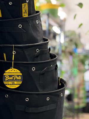 Pots &amp; Containers