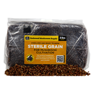 Mushroom Supply - Grain Bag - 3lb