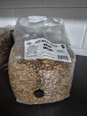 Simple Substrate's 3lb Grain Spawn Bag