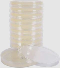 Sterile Petri Dishes (10 Pack)