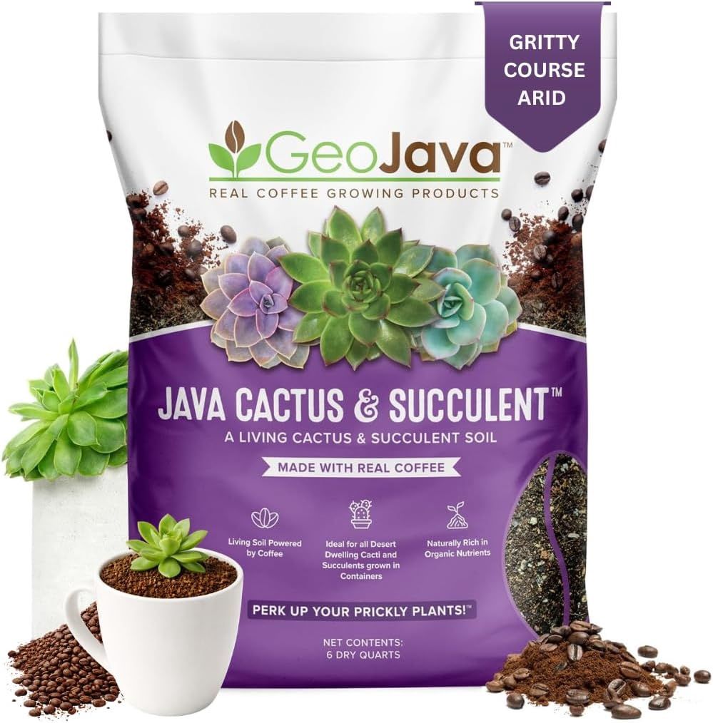Java Cactus and Succulent Mix