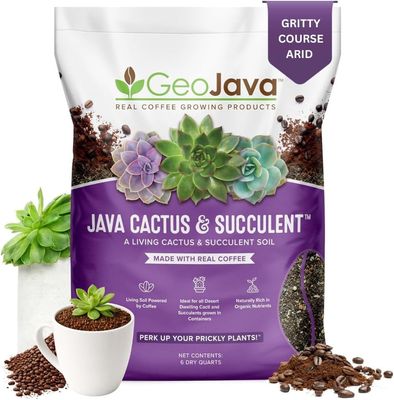 Java Cactus and Succulent Mix