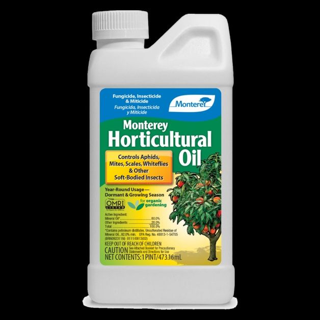Horticultural Oil (Qt)