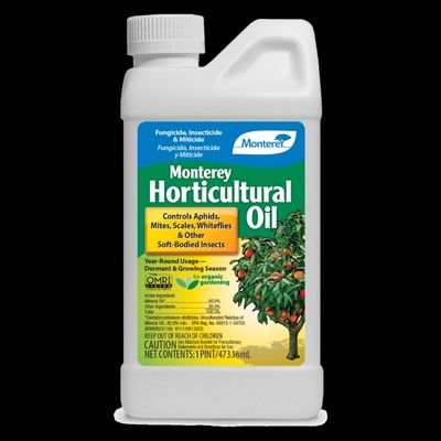 Horticultural Oil (Qt)