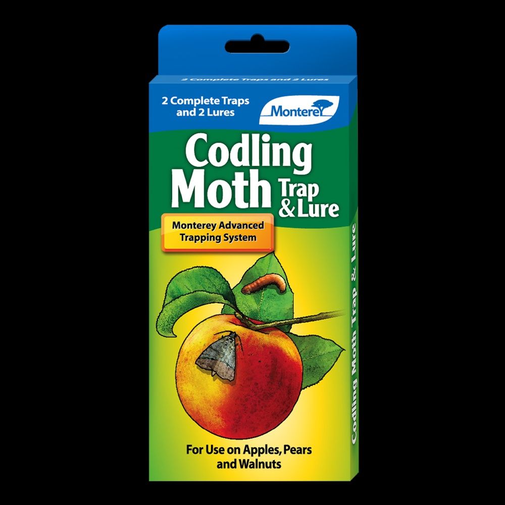 Codling Moth Trap and Lure