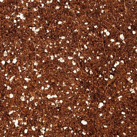 Coir/Perlite Mix 2CF