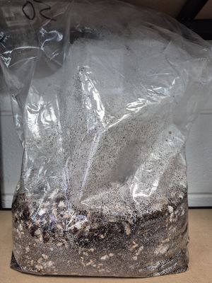 Simple Substrate's 5.5lb Ready-To-Go Bags
