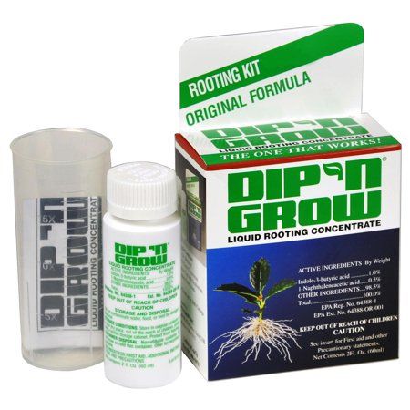 Dip N Grow 2-ounce