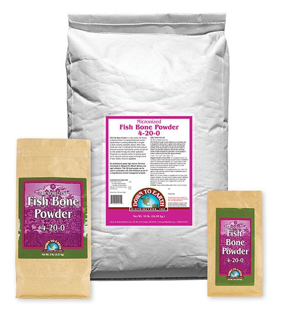 DTE - Fishbone Powder - Water Soluable - 5lb
