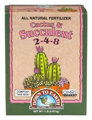 DTE - Cactus &amp; Succulent