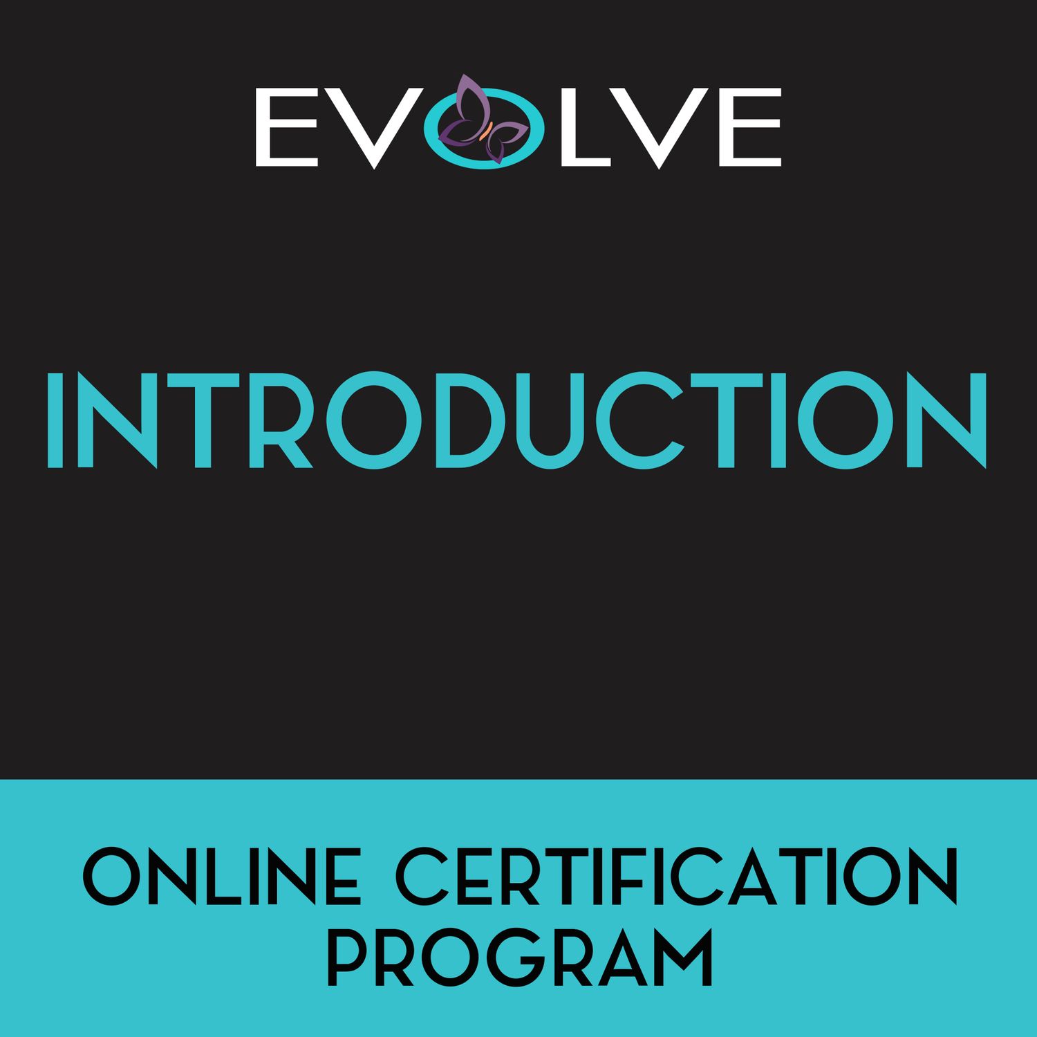 Evolve Education #1 - Introduction