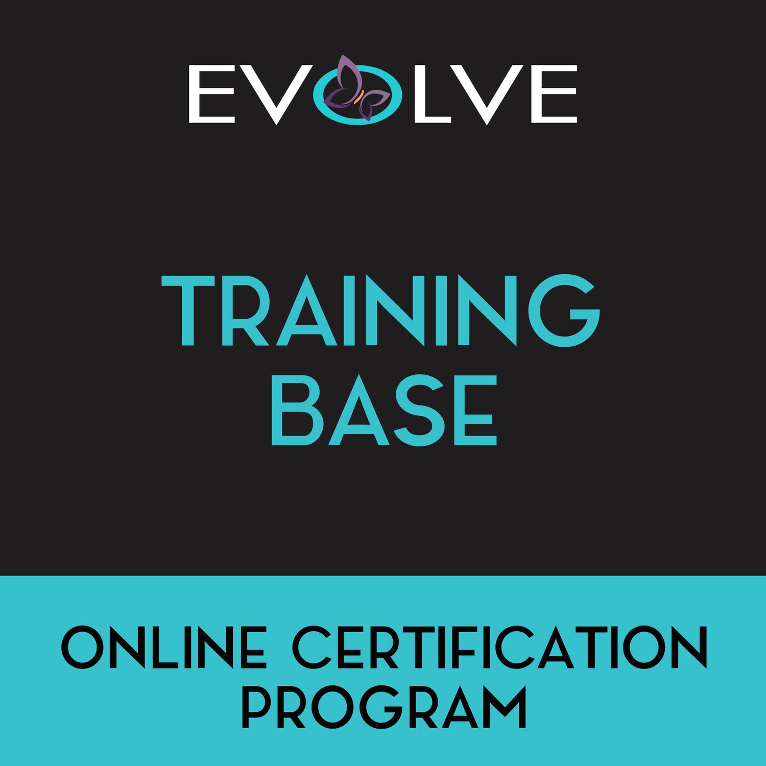 Evolve Education #3 - Training Base