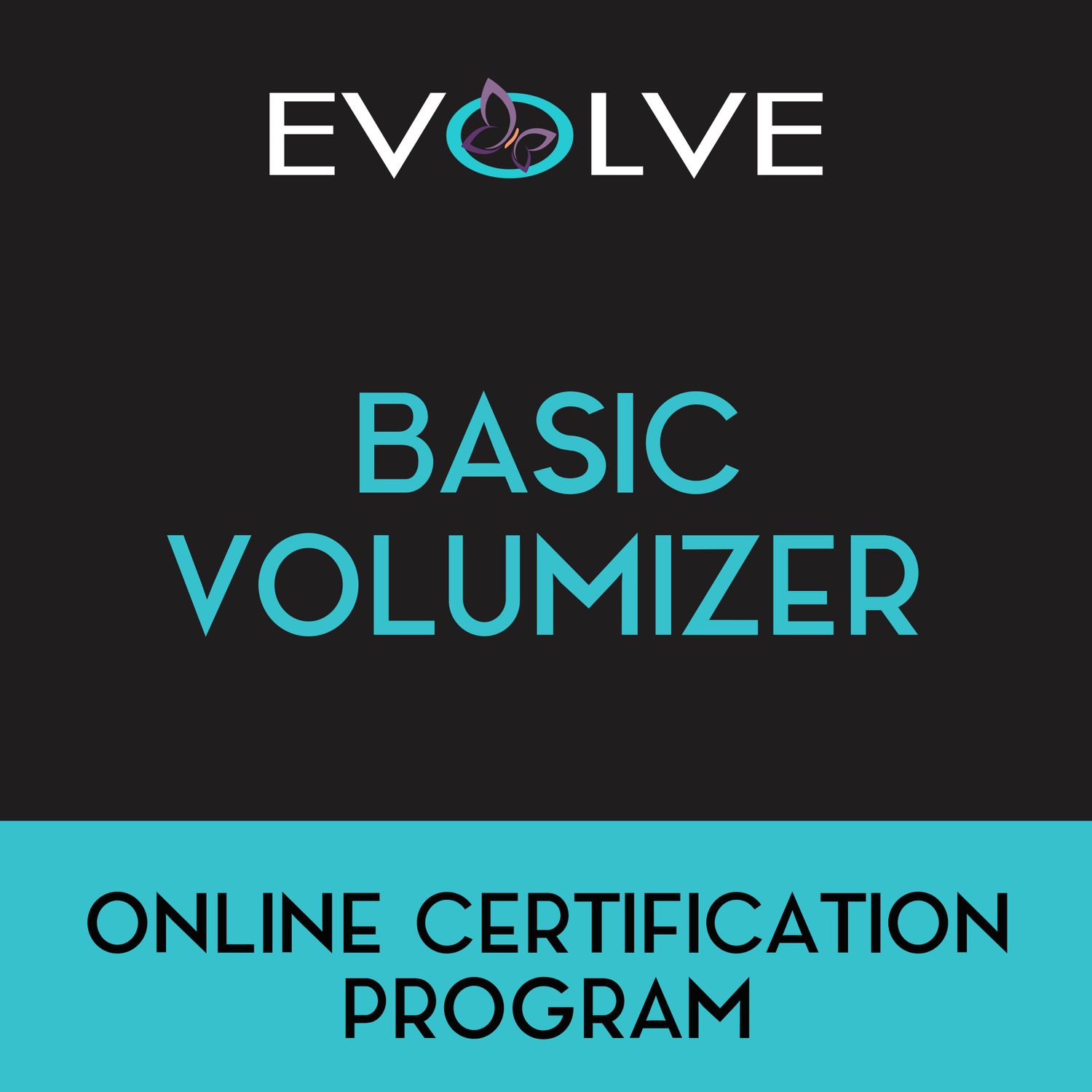 Evolve Education #4 - Basic Volumizer