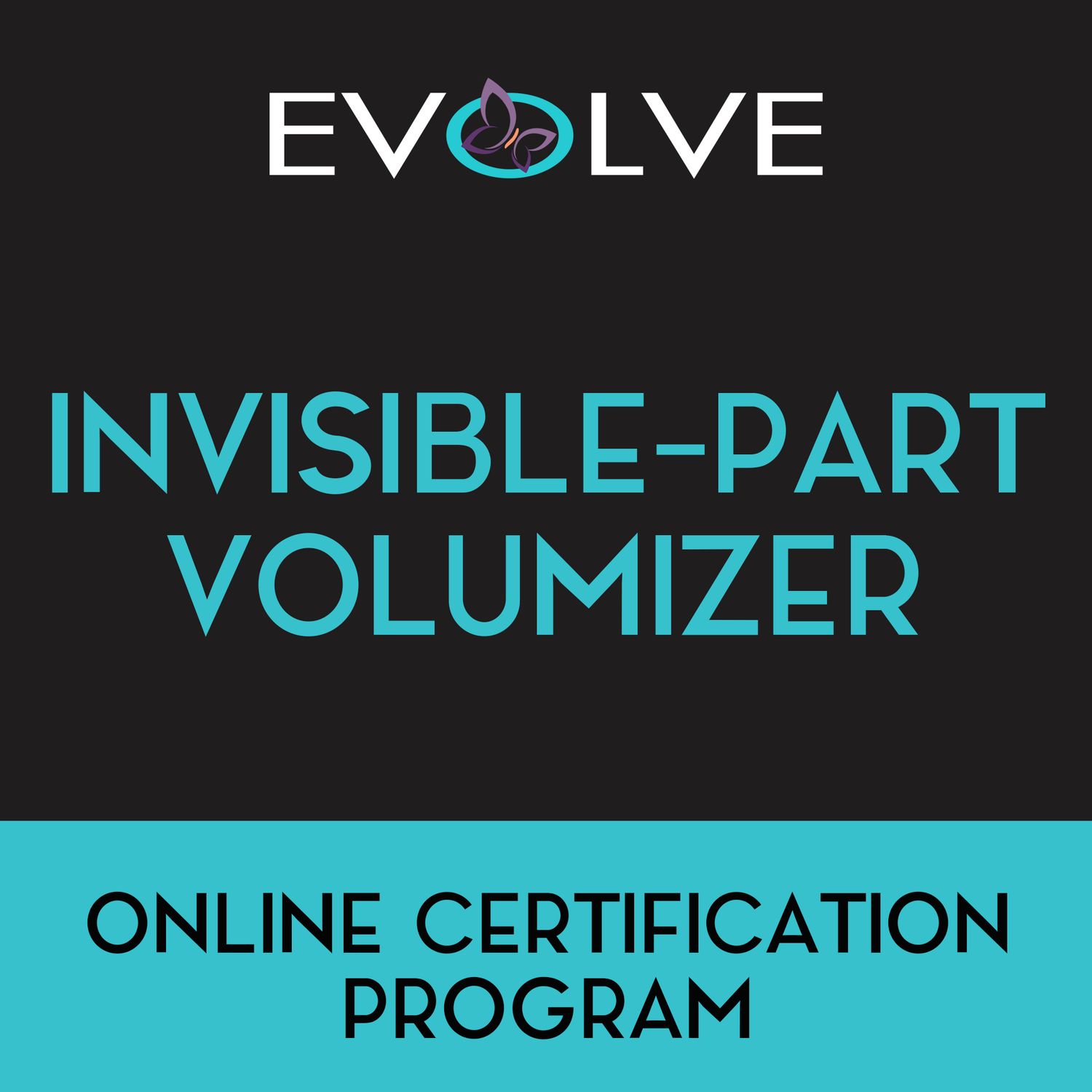 Invisible Part Volumizer Installation video
