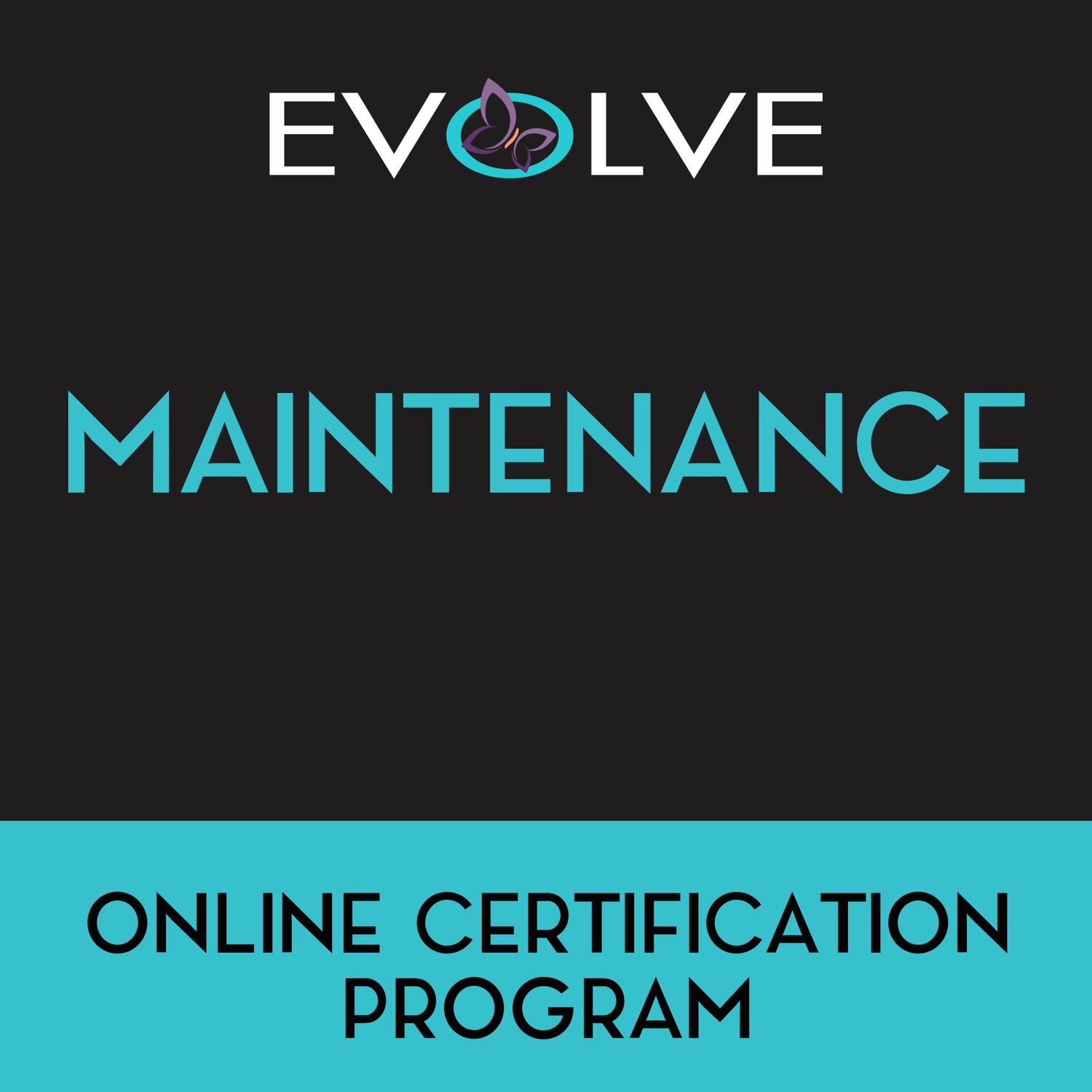 Evolve Education - Volumizer Maintenance