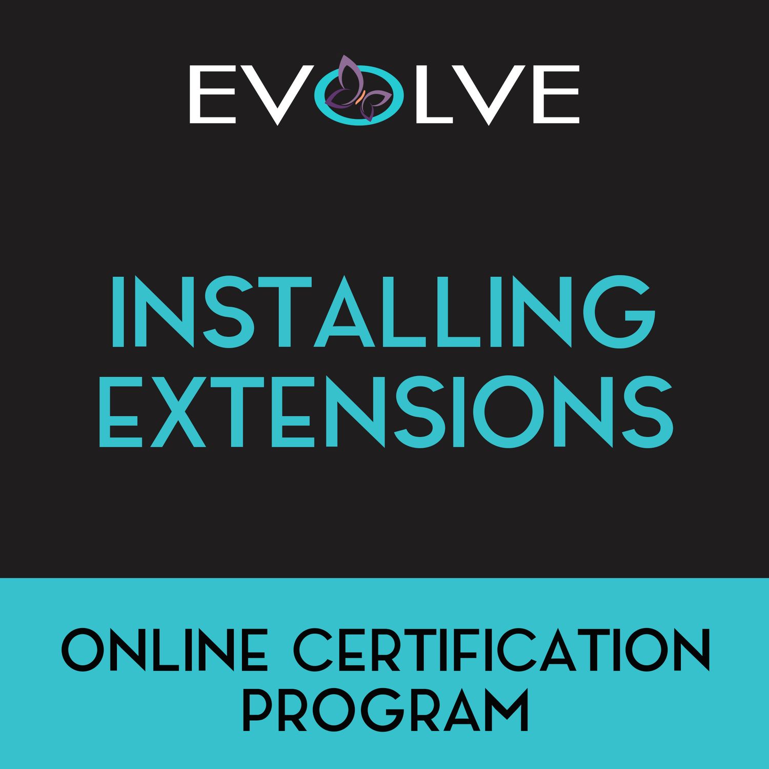 Evolve Education #2 - Installing Extensions