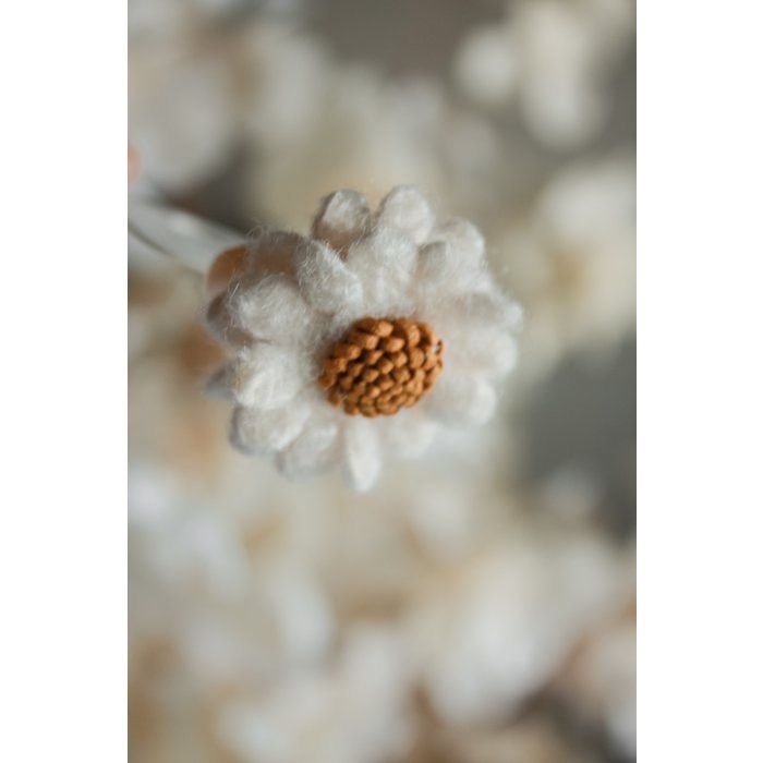 Haarelastiekje Wolvilt Crème