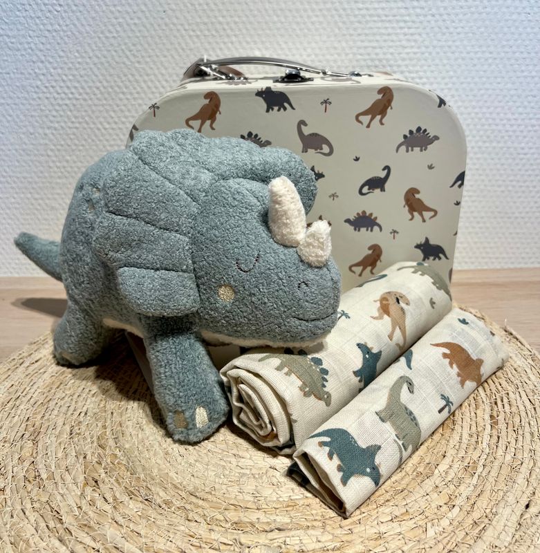 Kraamcadeau Roarsome Medium