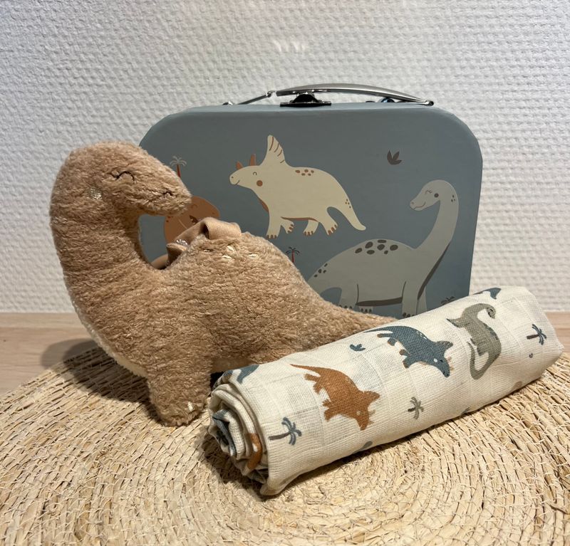 Kraamcadeau Roarsome Small