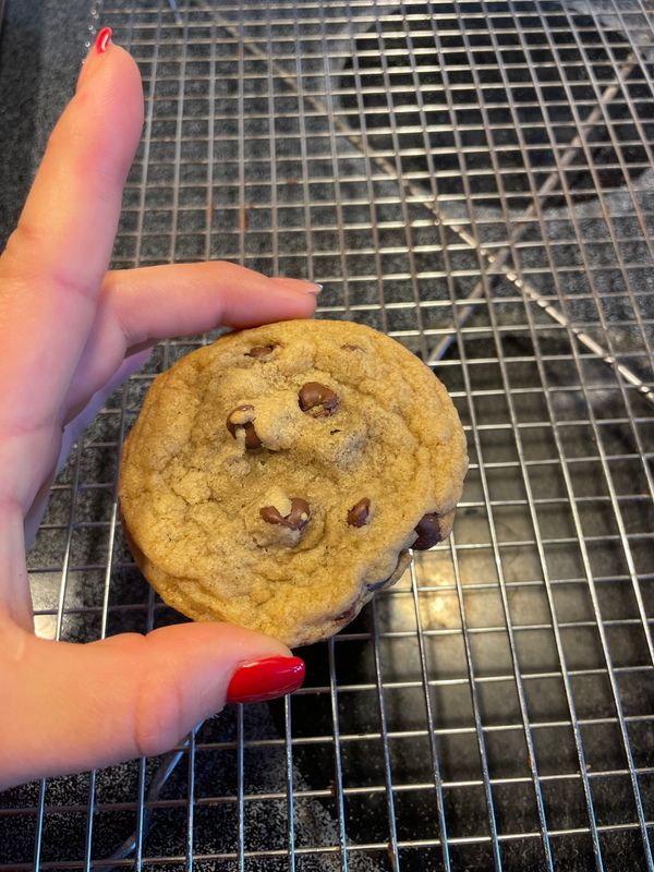 A dozen chocolate chip cookies