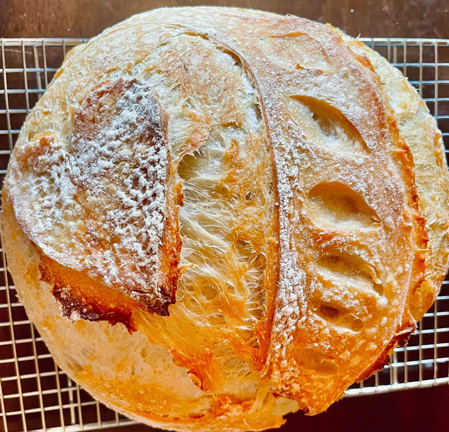 Sourdough round or Sammy loaf