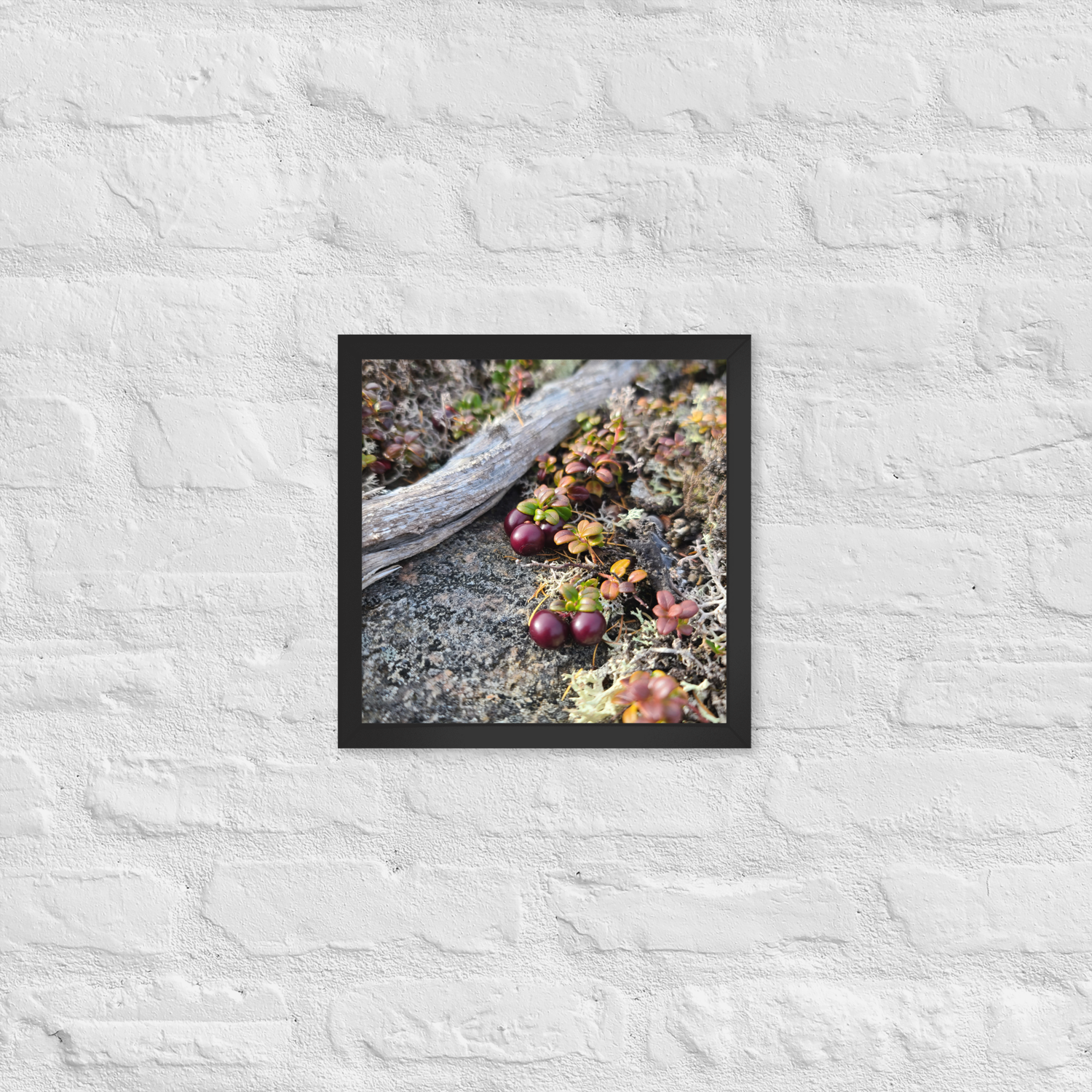 Partrideberry Framed poster
