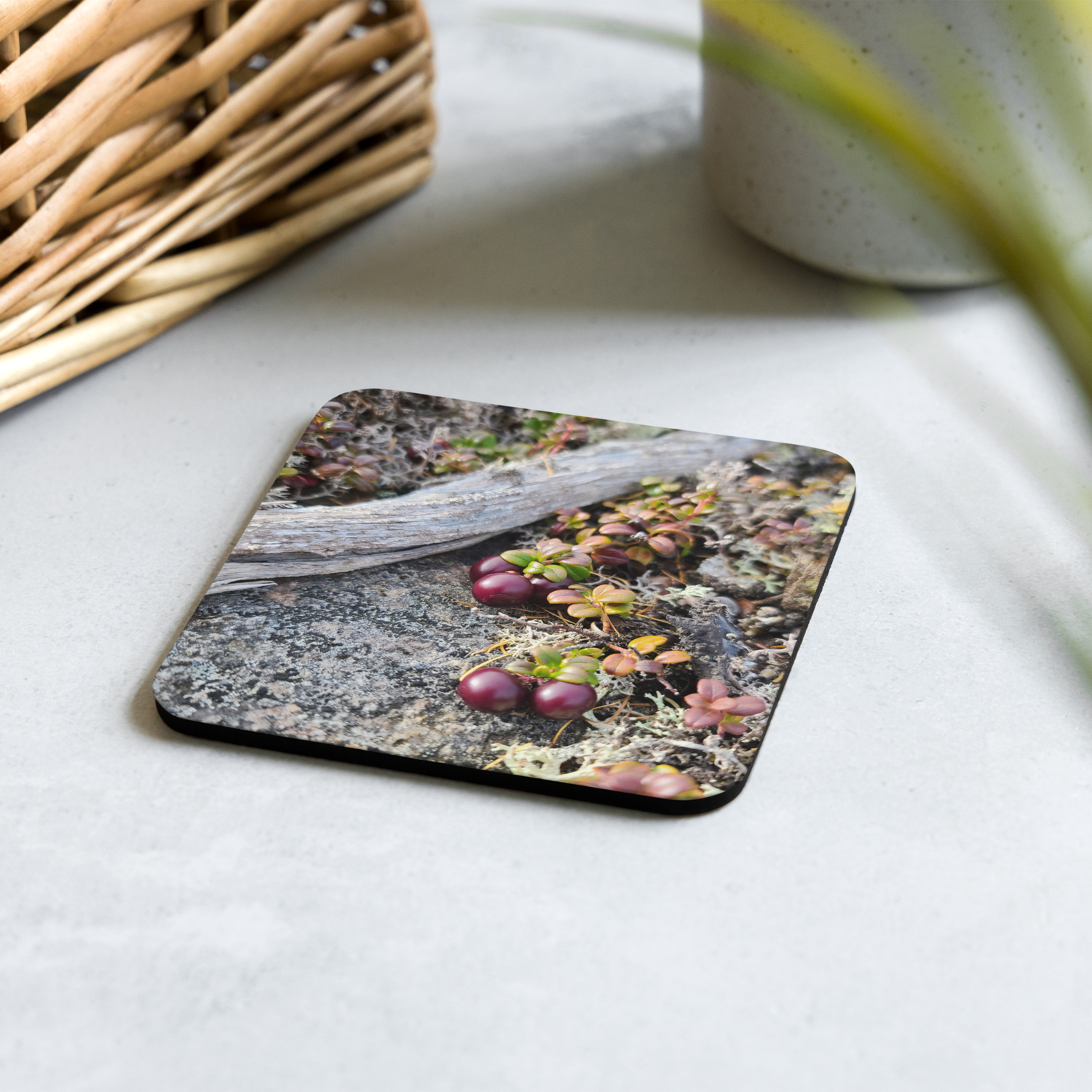 Partridgeberry Cork-back coaster