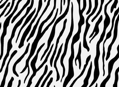 Zebra Print