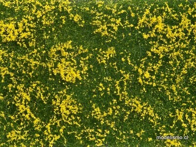 Noch 07255 ​Cobertura del suelo follaje amarillo
