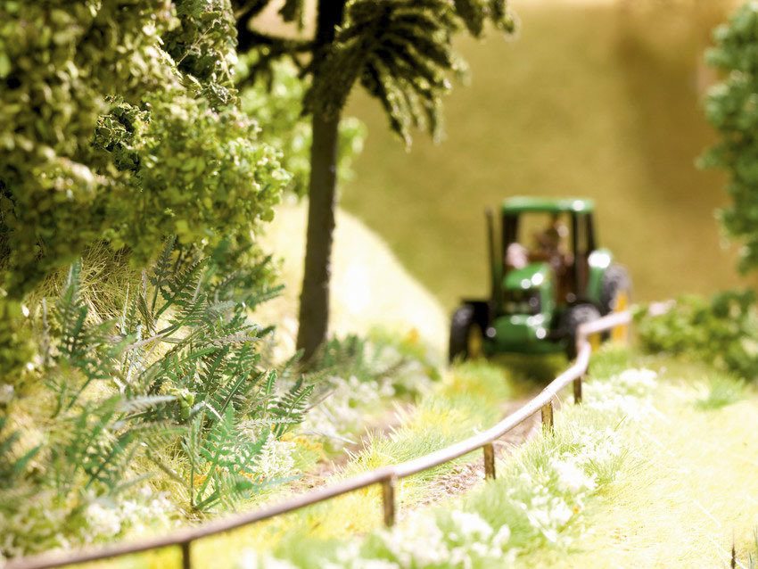 reserva anticipada Noch 14100 Helecho reserva anticipada Noch 14100 Helecho