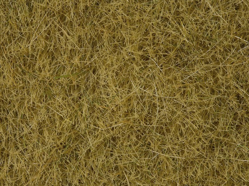 Noch 07101 Hierbas Silvestres beige, 6 mm