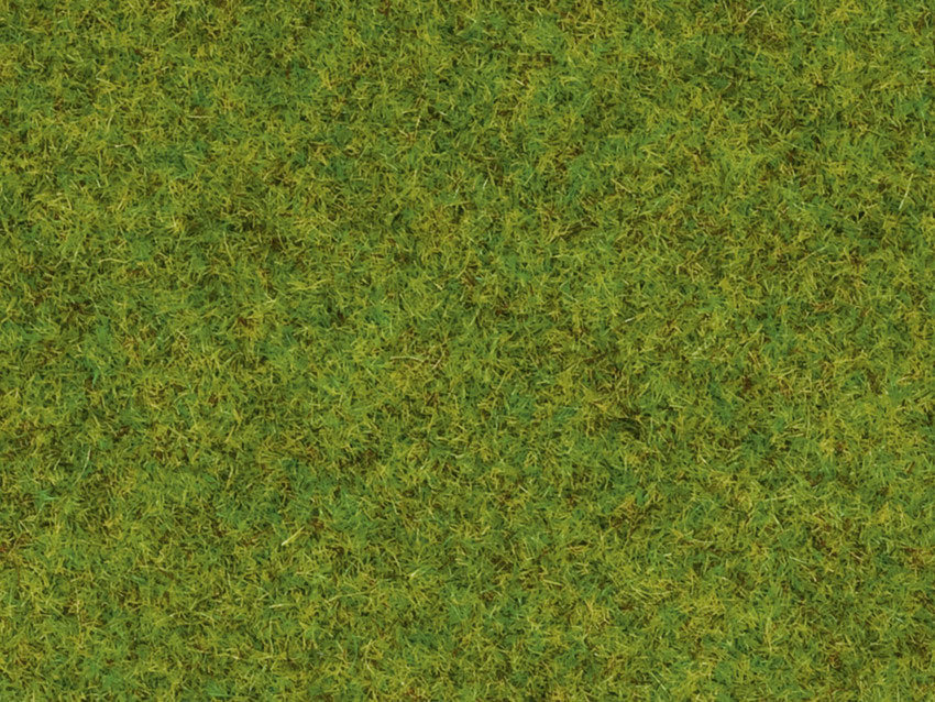 Noch 50210 Fibras de hierba, primavera, 2,5 mm