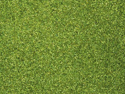 reserva anticipada Noch 08410 Pasto de alta montaña reserva anticipada Noch 08410 Pasto de alta montaña