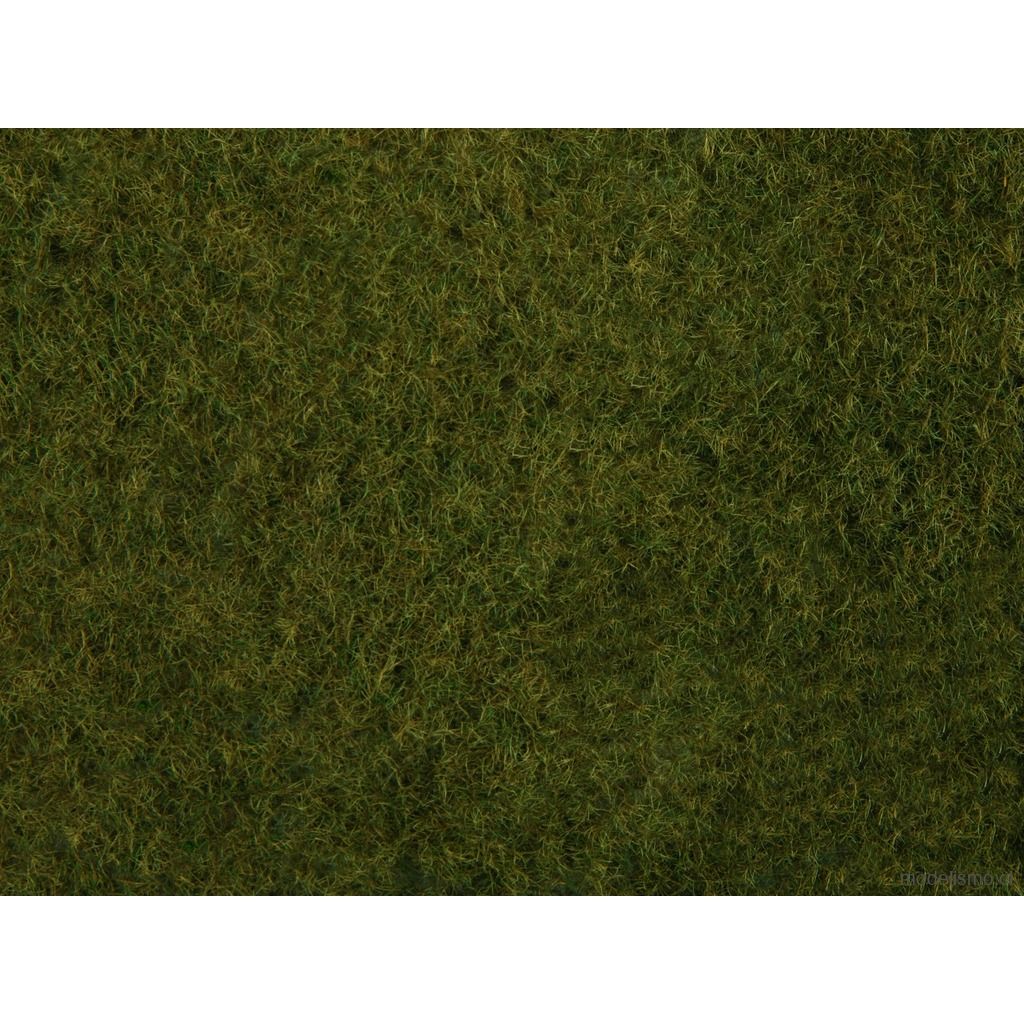 Noch 07282 Follaje de hierba salvaje, verde oliva Noch 07282 Follaje de hierba salvaje, verde oliva