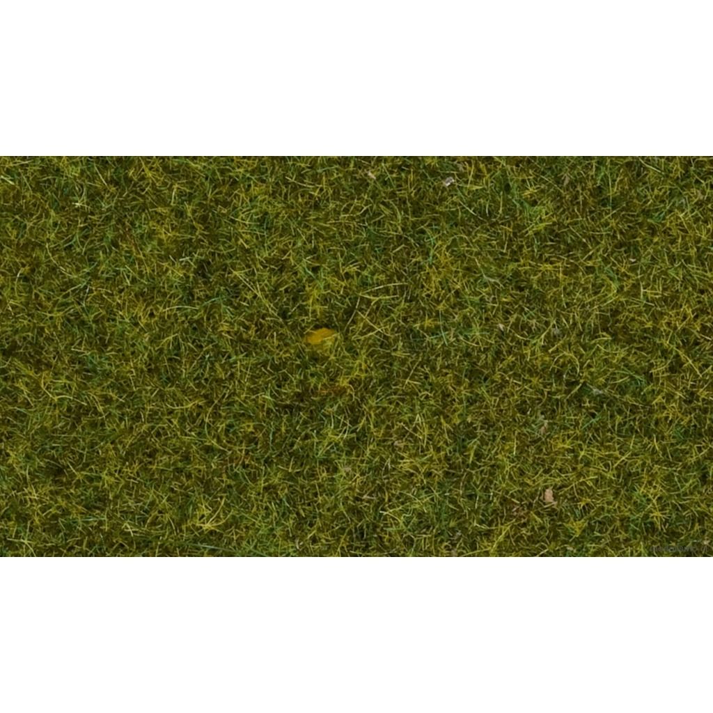 Noch 07117 Hierba silvestre "pradera", 9 mm, bolsa de 50 g Noch 07117 Hierba silvestre "pradera", 9 mm, bolsa de 50 g