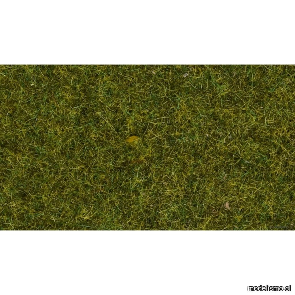 Noch 07117 Hierba silvestre "pradera", 9 mm, bolsa de 50 g