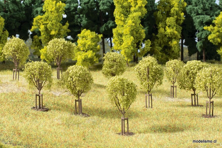 Auhagen H0 70950 ​Árboles jóvenes